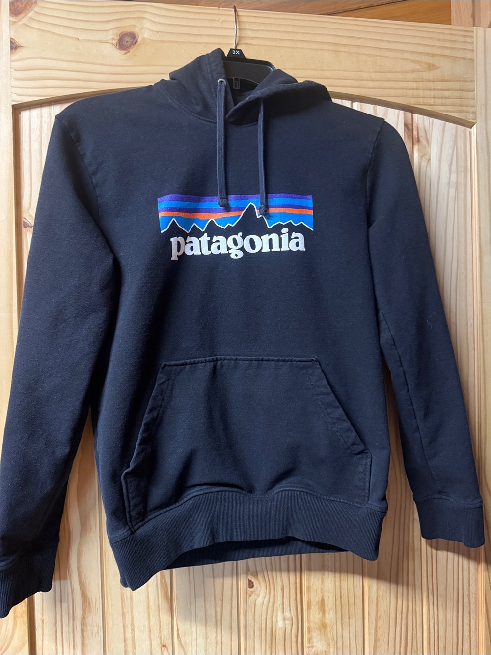 Patagonia Black Hoodie with Multicolor Mountain Stripe Logo